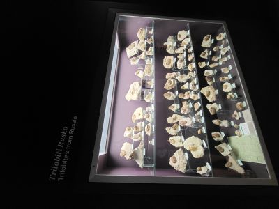 Dinosauria Museum Prague