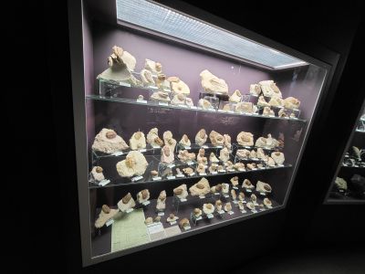 Dinosauria Museum Prague
