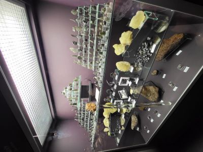 Dinosauria Museum Prague