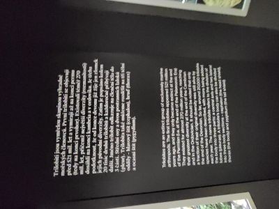Dinosauria Museum Prague