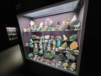 Dinosauria Museum Prague