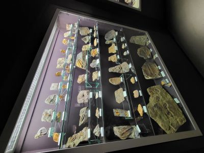 Dinosauria Museum Prague