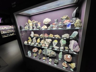 Dinosauria Museum Prague