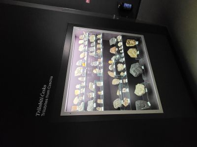 Dinosauria Museum Prague