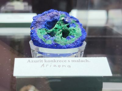 Dinosauria Museum Prague