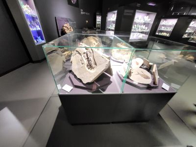 Dinosauria Museum Prague