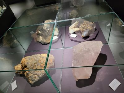 Dinosauria Museum Prague