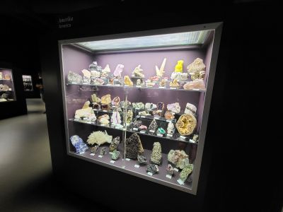 Dinosauria Museum Prague
