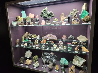 Dinosauria Museum Prague