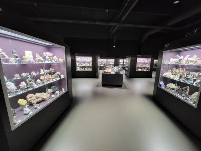 Dinosauria Museum Prague