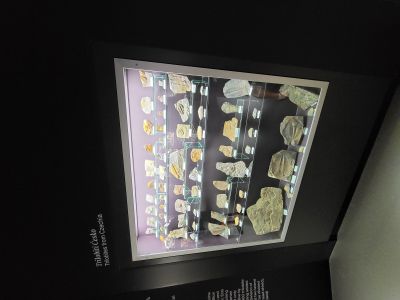 Dinosauria Museum Prague