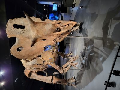 Dinosauria Museum Prague
