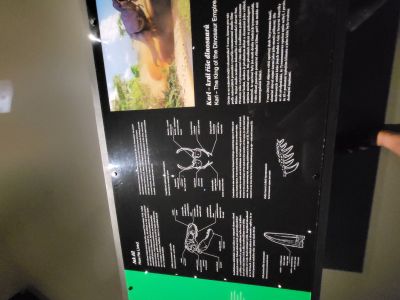 Dinosauria Museum Prague