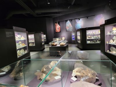 Dinosauria Museum Prague