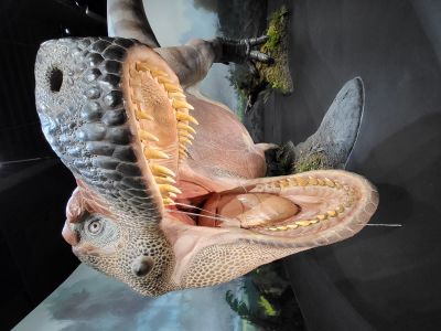 Dinosauria Museum Prague