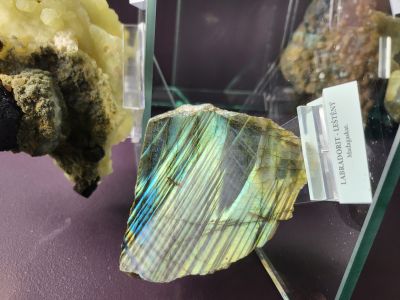Dinosauria Museum Prague