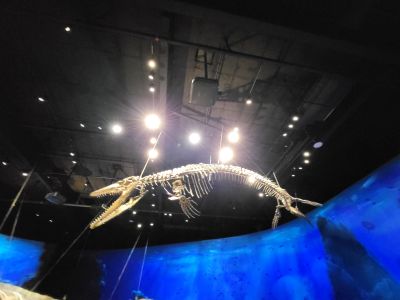 Dinosauria Museum Prague
