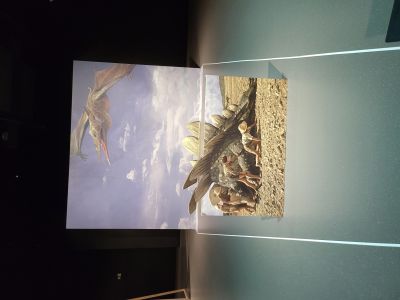 Dinosauria Museum Prague