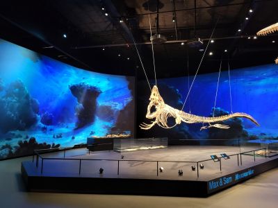 Dinosauria Museum Prague