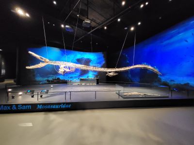 Dinosauria Museum Prague