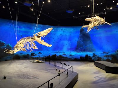 Dinosauria Museum Prague