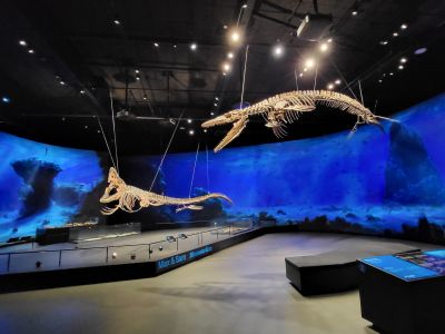Dinosauria Museum Prague