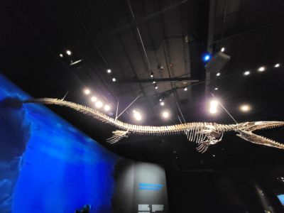 Dinosauria Museum Prague