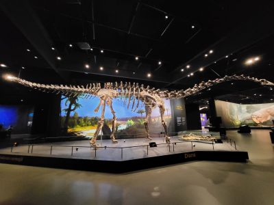 Dinosauria Museum Prague