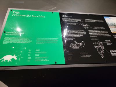 Dinosauria Museum Prague