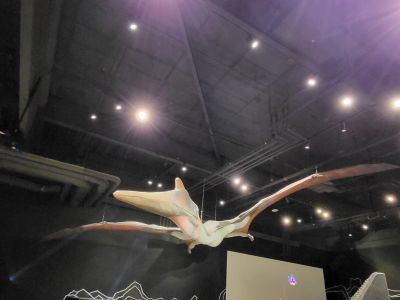 Dinosauria Museum Prague