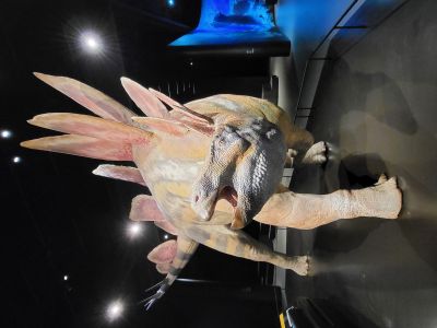 Dinosauria Museum Prague