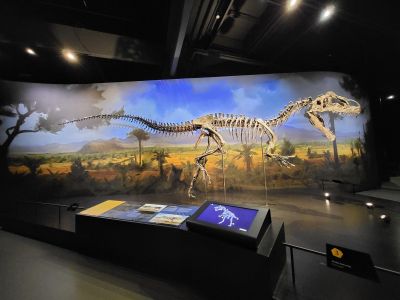 Dinosauria Museum Prague