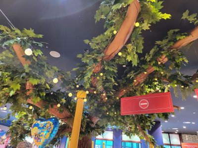 POP Airport