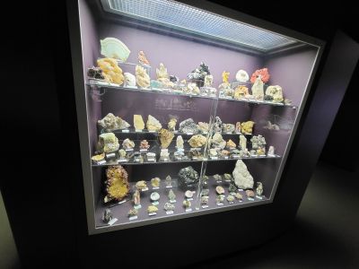 Dinosauria Museum Prague
