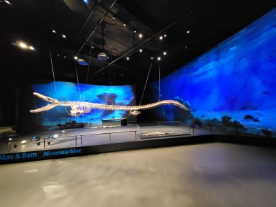 Dinosauria Museum Prague
