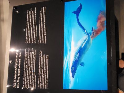 Dinosauria Museum Prague