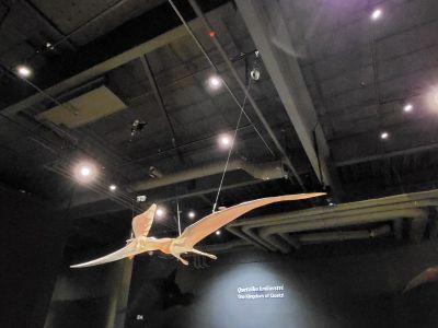 Dinosauria Museum Prague