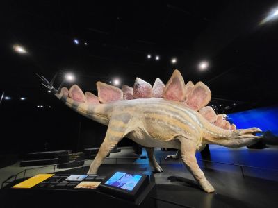 Dinosauria Museum Prague
