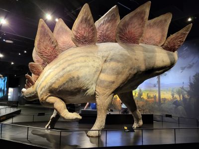 Dinosauria Museum Prague