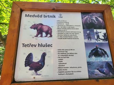 Stezka Valaška