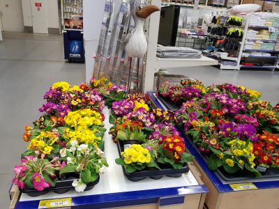 MAKRO Cash & Carry Ostrava