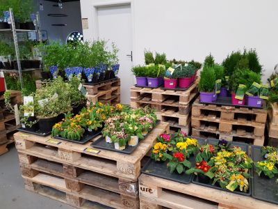 MAKRO Cash & Carry Ostrava