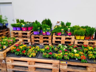 MAKRO Cash & Carry Ostrava