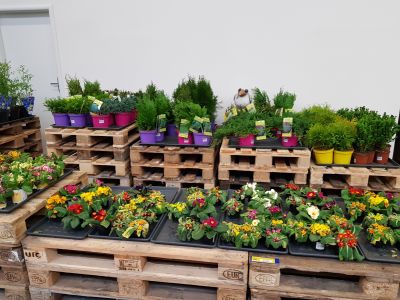 MAKRO Cash & Carry Ostrava