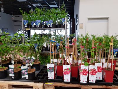 MAKRO Cash & Carry Ostrava