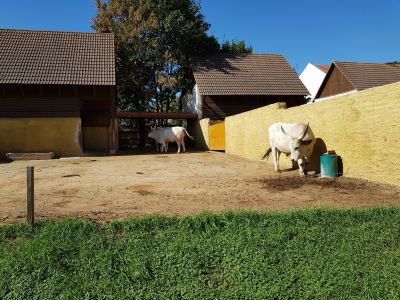 ZOO PARK Vyškov