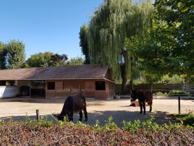 ZOO PARK Vyškov