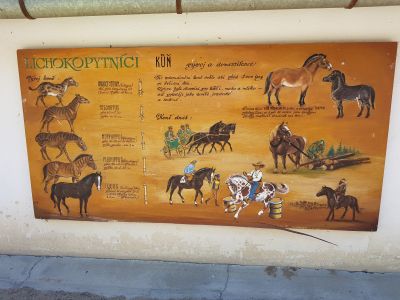 ZOO PARK Vyškov