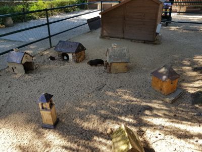 ZOO PARK Vyškov