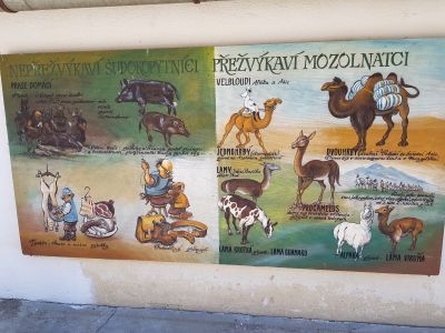 ZOO PARK Vyškov
